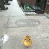 The NYC Pokémon Go Zombie Apocalypse Is Upon Us
